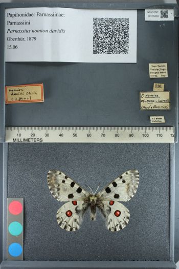 Media type: image;   Entomology 175033
